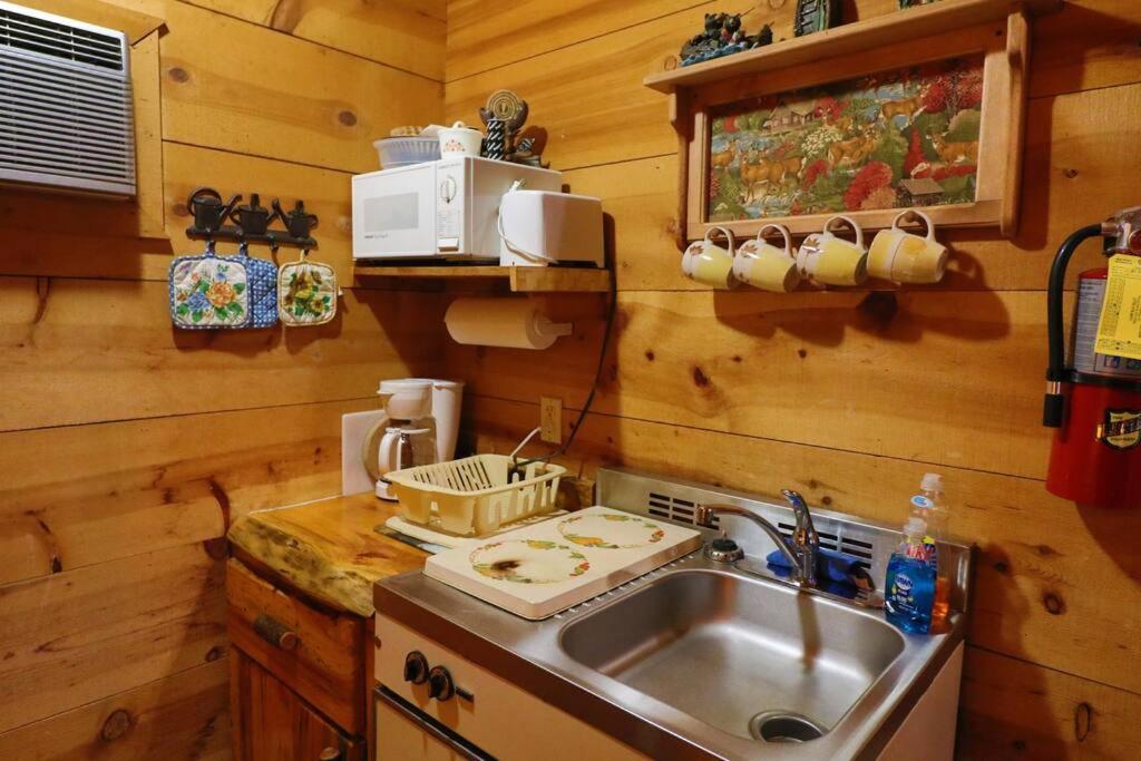 Cute Updated Mountain Cabin Fireplace #3 Хелън Екстериор снимка